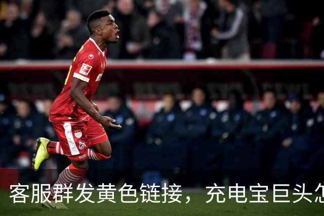 客服群发黄色链接，充电宝巨头怎么了？