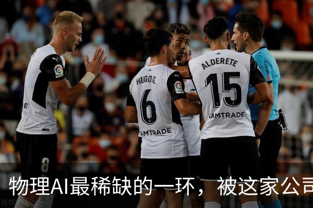 物理AI最稀缺的一环，被这家公司押中