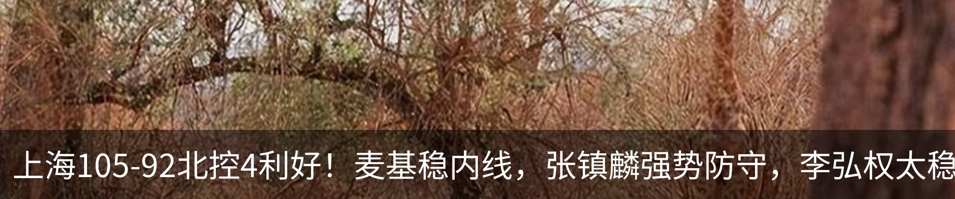 新闻中心